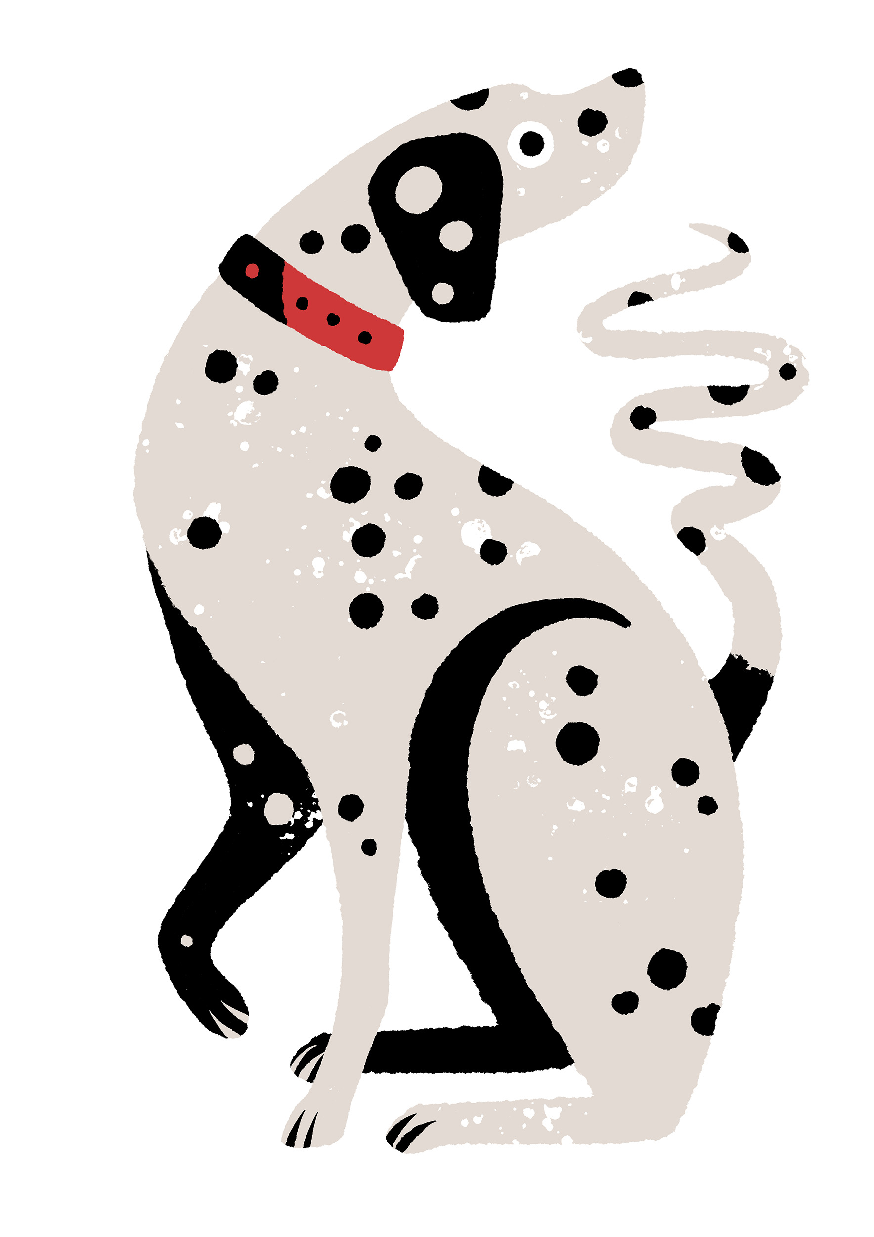 Dalmatian