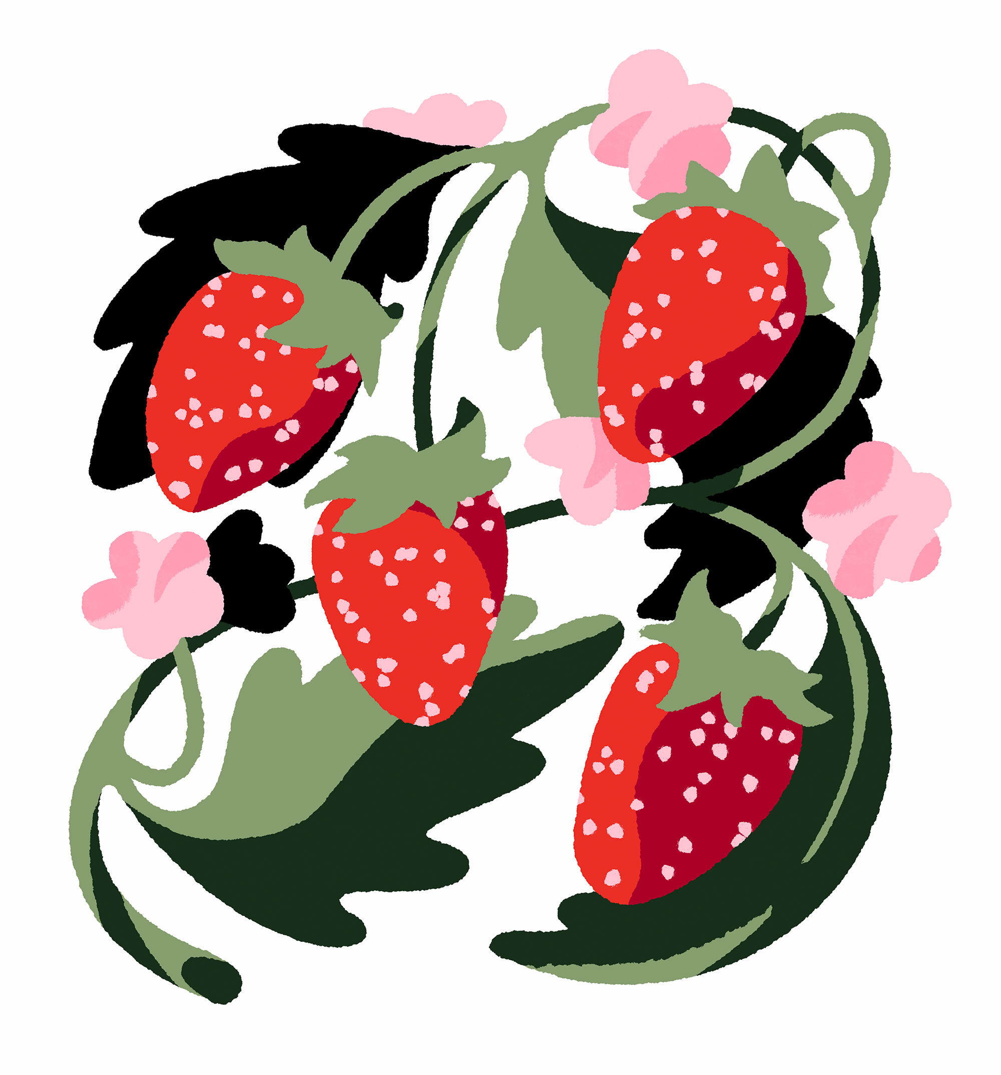 Strawberries